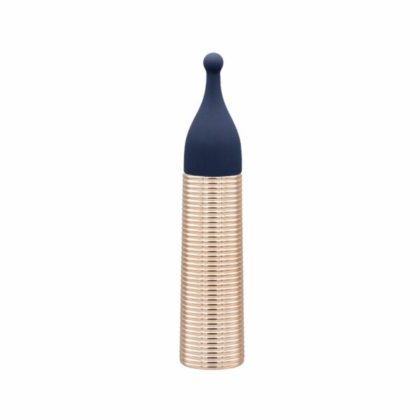 Вібромасажер Pillow Talk Secrets Desires 6-Piece Mini Massager Set - Navy - Зображення 7