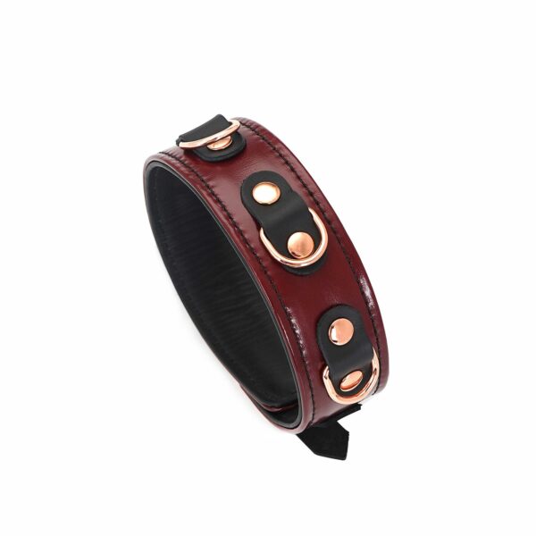 Шкіряний нашийник з повідцем Liebe Seele Wine Red Collar and Leash, 3 кільця для кріплення - Зображення 3