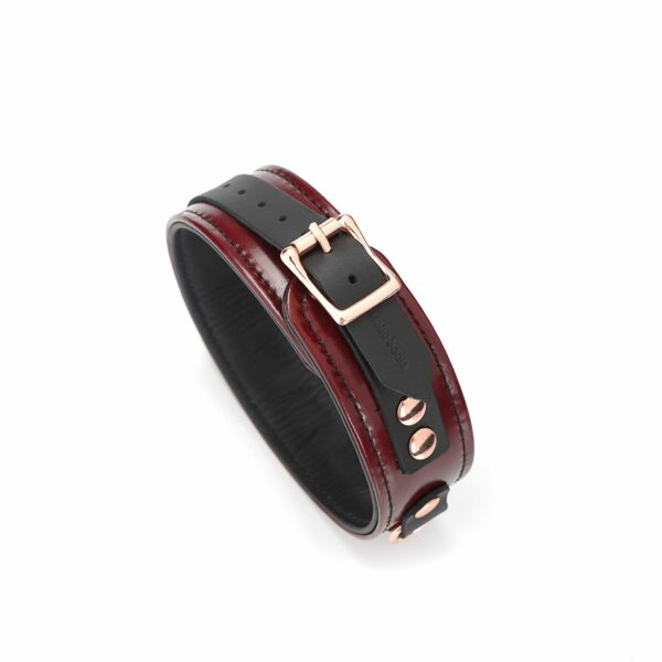 Шкіряний нашийник з повідцем Liebe Seele Wine Red Collar and Leash, 3 кільця для кріплення - Зображення 4