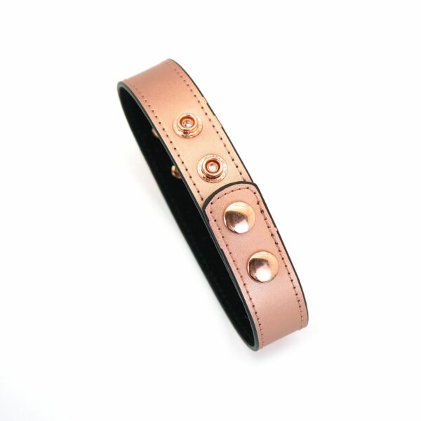 Нашийник із затискачами для сосків Liebe Seele Rose Gold Memory Collar with Nipple Clamps - Зображення 11