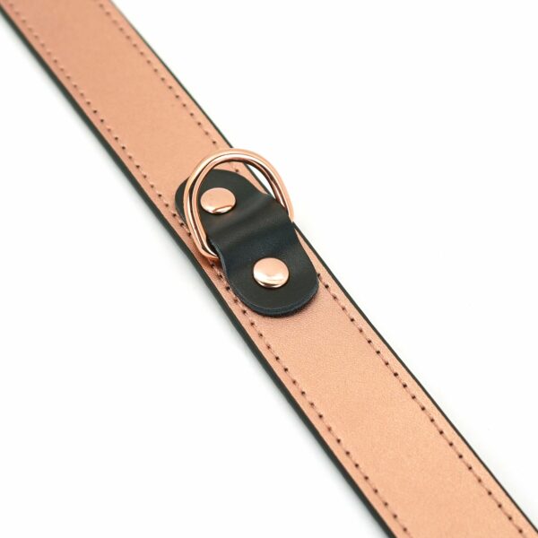 Нашийник із затискачами для сосків Liebe Seele Rose Gold Memory Collar with Nipple Clamps - Зображення 5