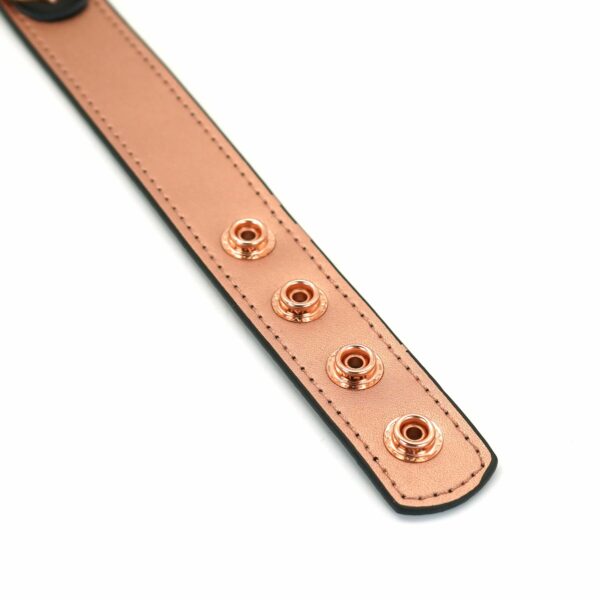 Нашийник із затискачами для сосків Liebe Seele Rose Gold Memory Collar with Nipple Clamps - Зображення 4