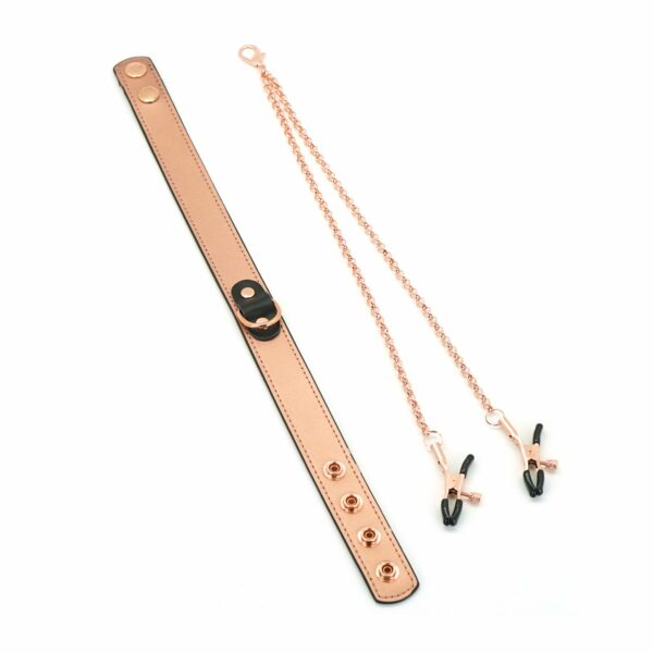 Нашийник із затискачами для сосків Liebe Seele Rose Gold Memory Collar with Nipple Clamps - Зображення 2