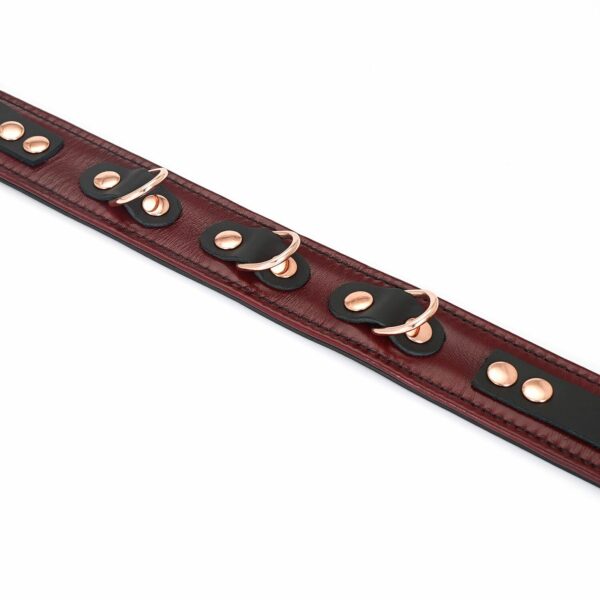 Нашийник з повідцем Liebe Seele Wine Red Collar and Leash (м'ята упаковка!!!) - Зображення 9