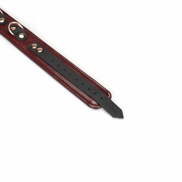 Нашийник з повідцем Liebe Seele Wine Red Collar and Leash (м'ята упаковка!!!) - Зображення 7