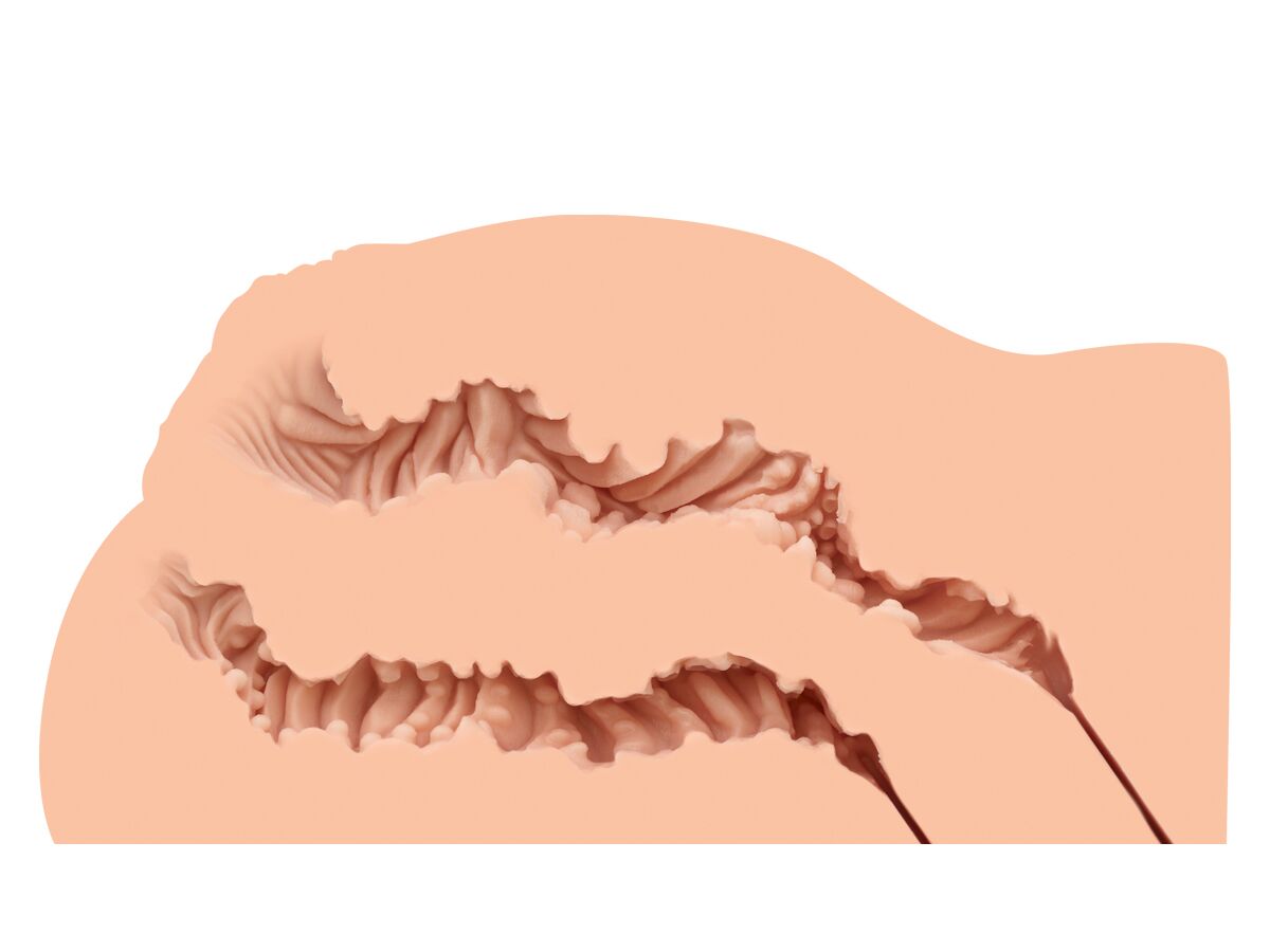 Мастурбатор-півторс Naked Factory LAURA, вагіна + анус, дуже реалістичний, наскрізний - Зображення 3