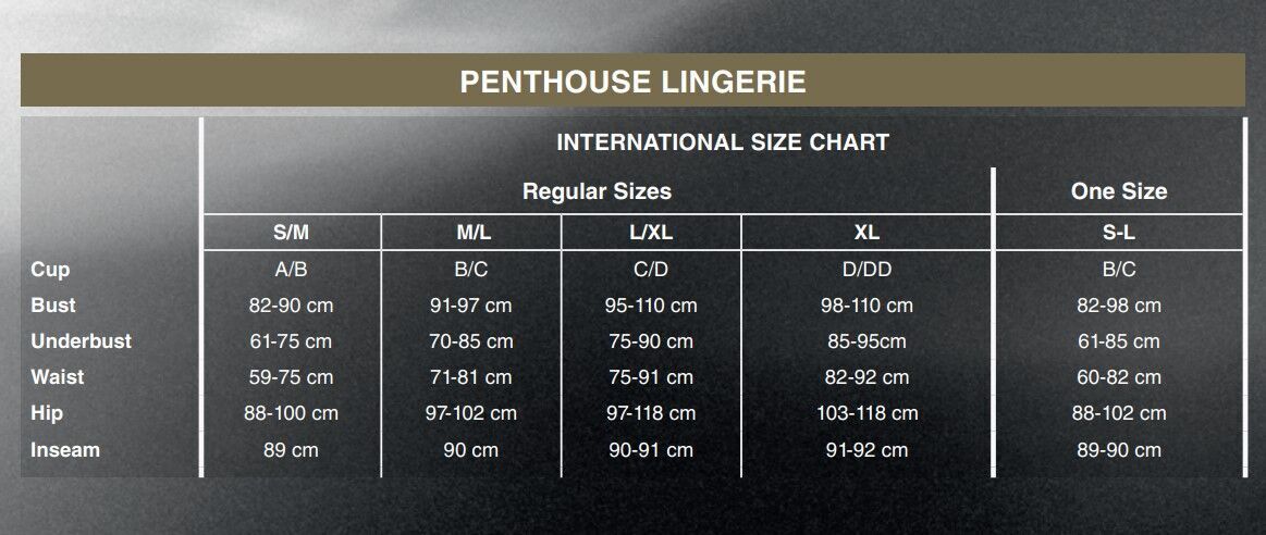 Боді Penthouse Salute Me XL Black (дефекти на пакованні!!!) - Зображення 5